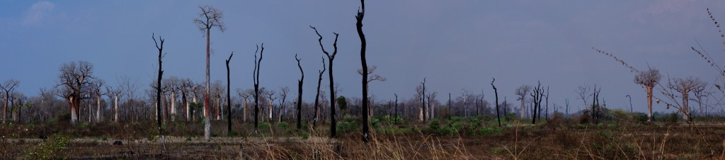 Panorama Madagaskaru - kliknij aby powiększyć
