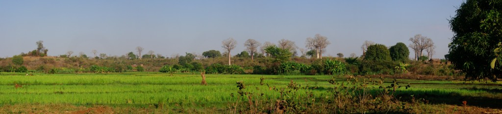 Panorama Madagaskaru - kliknij aby powiększyć